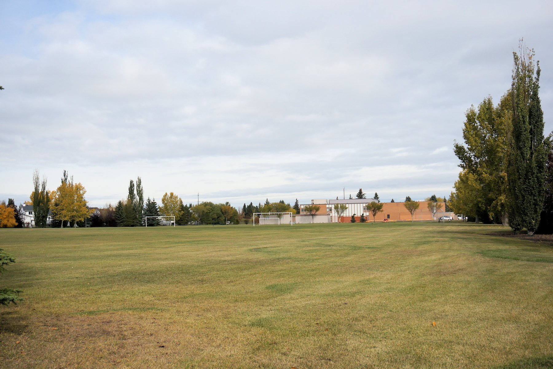 Athlone Edmonton Homes For Sale, Athlone Real Estate